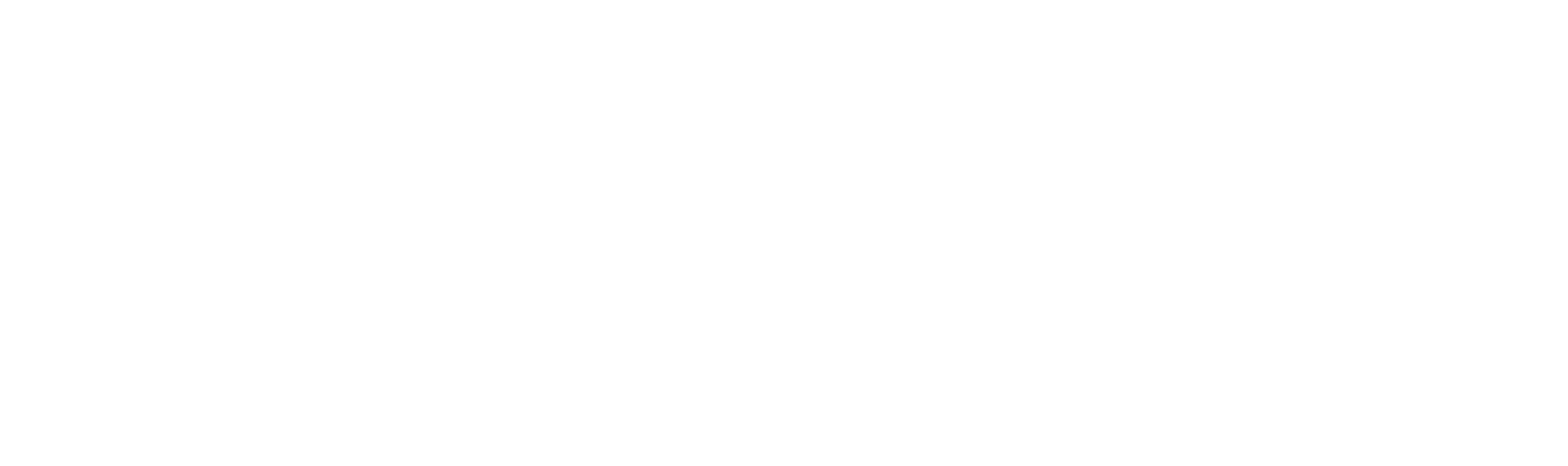 Logo de Fluvip